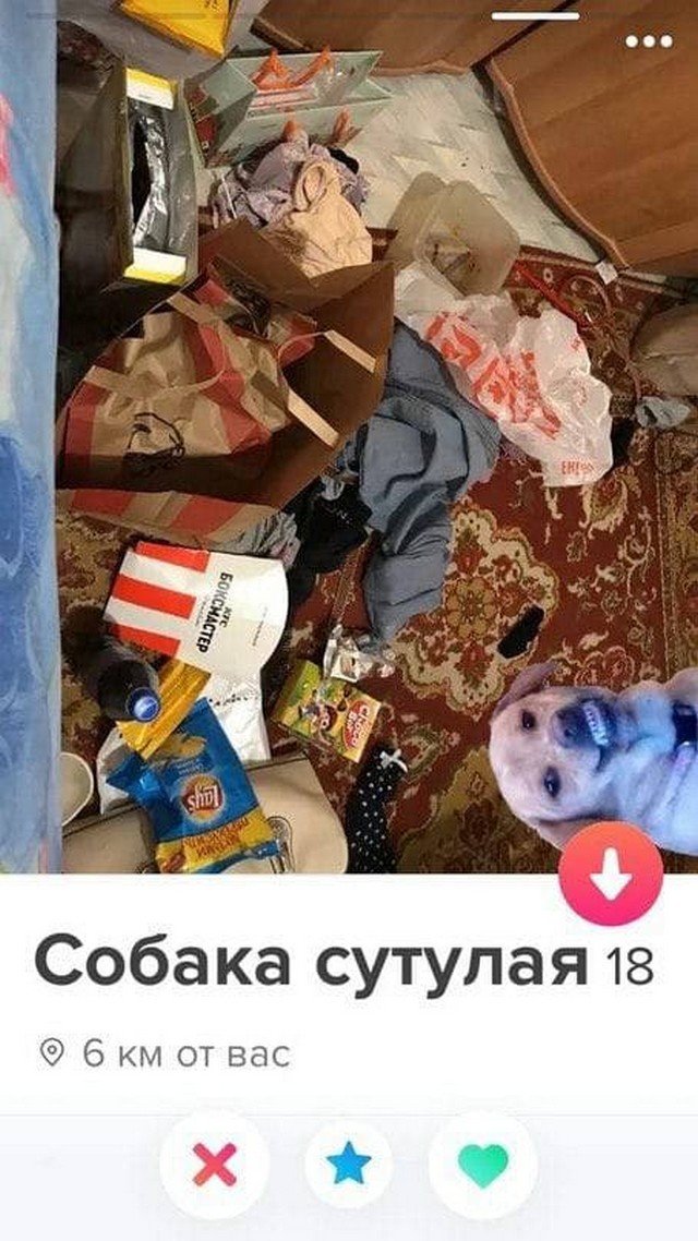 Забавные анкеты людей, которые ищут любовь на сайте знакомств Забавные анкеты людей, которые ищут любовь на сайте знакомств позитив,смешные картинки,юмор