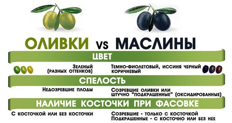 Чем отличаются оливки от маслин и что полезнее? еда,польза и вред,продукты