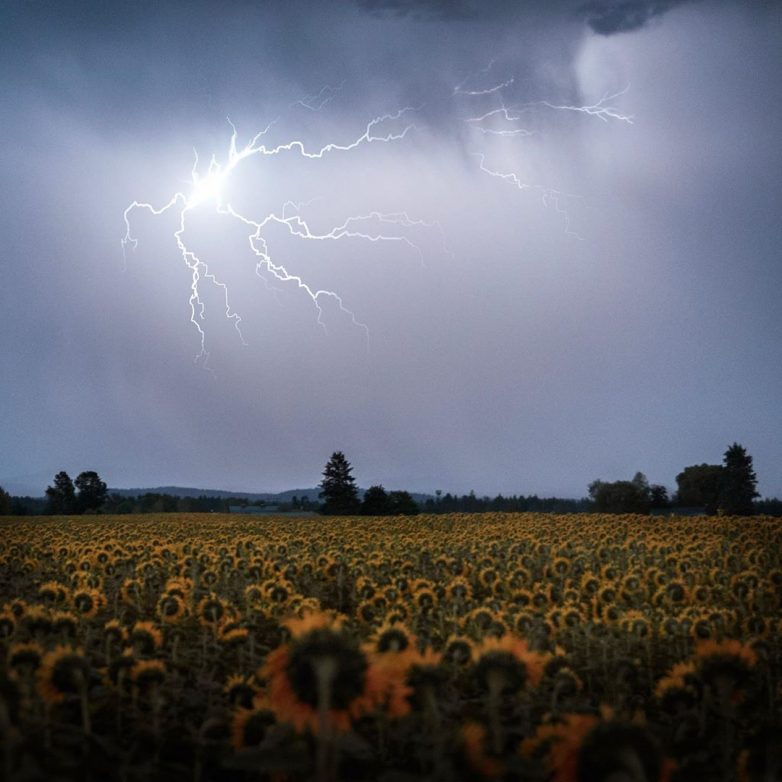 Путешествуй! Фотографируй! Мечтай! путешествие,турист