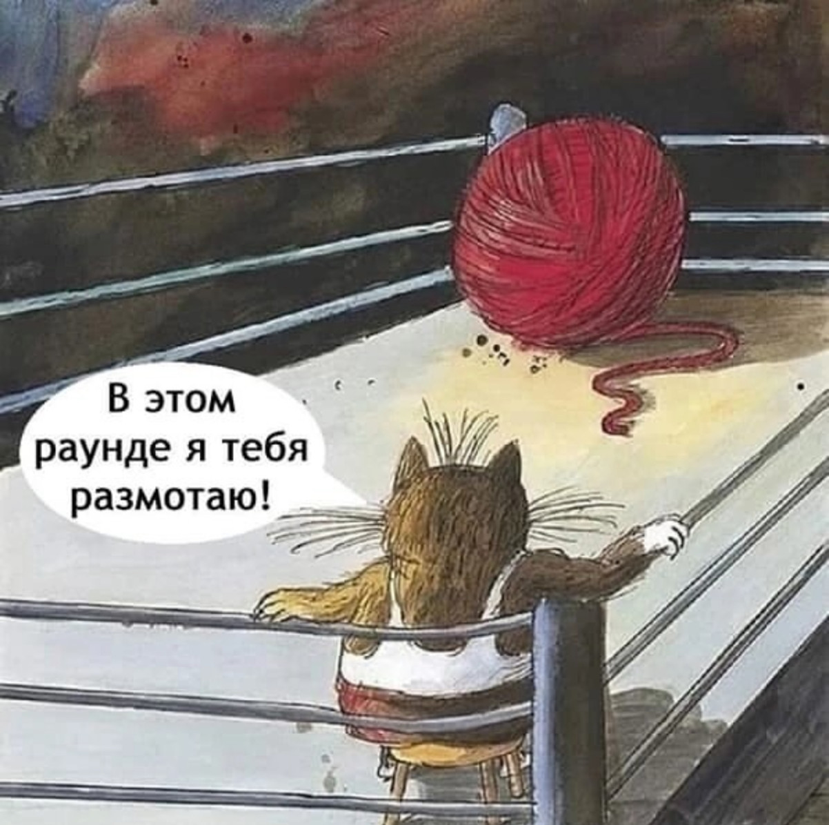 Мемы с котиками, разные смешные картинки и позвоночник 