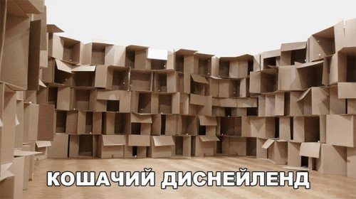 Прикольные фотомемы!