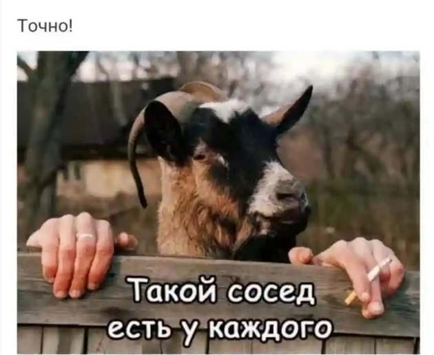 — А что ты будешь делать, если получишь в наследство 1 миллион долларов?... весёлые