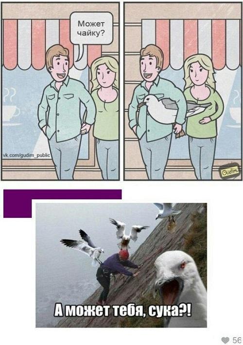 Ржачные свежие картинки с надписями 