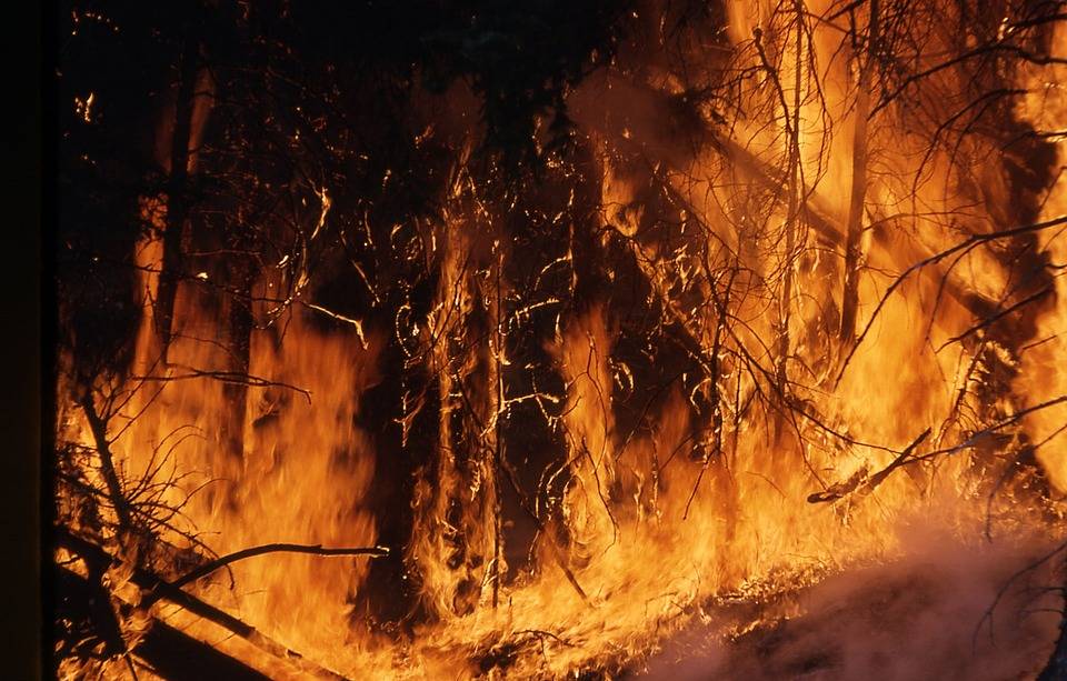 Число лесных пожаров в Якутии увеличилось до десяти