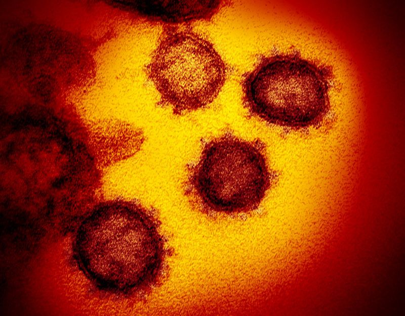Коронавирус имеет «ВИЧ-подобную мутацию», говорят учёные