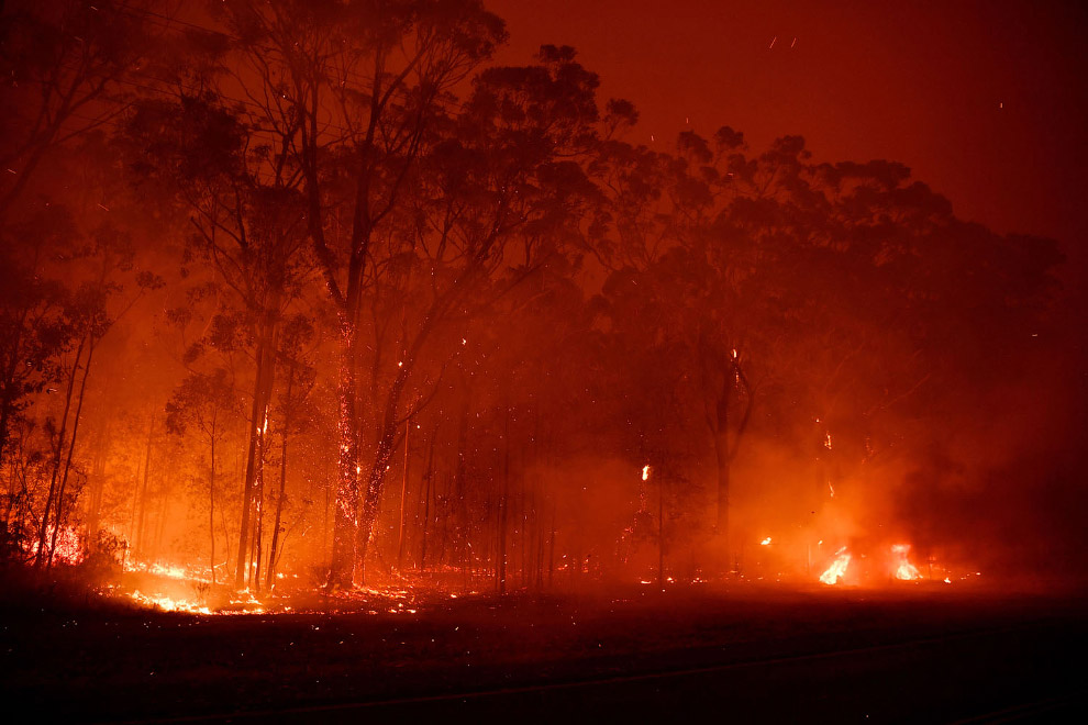 В Австралии бушуют лесные пожары декабря, пожаров, Davey, Австралии, вертолет, кенгуру, Saeed, Остатки, Новом, места, обитания, Пожарный, Уэльсе, городе, Южном, Уэльса, Южного, пожары, Нового, сделанные