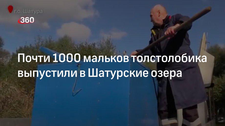 Почти 1000 мальков толстолобика выпустили в Шатурские озера