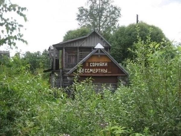 Смешные до слез лучшие картинки 