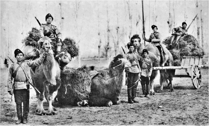 Отряд русских казаков с верблюдами (1875 год – покорение Кокандского ханства). /Фото: upload.wikimedia.org Отряд русских казаков с верблюдами (1875 год – покорение Кокандского ханства). /Фото: upload.wikimedia.org
