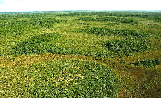 «Плавающие острова» посреди Амазонии считались чудом природы, но анализ показал, что их построили 10000 лет назад Культура