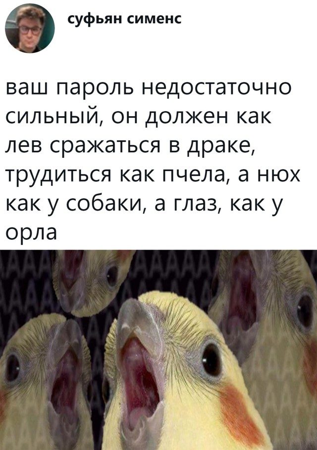 Прикольные мемы и картинки Прикольные мемы и картинки