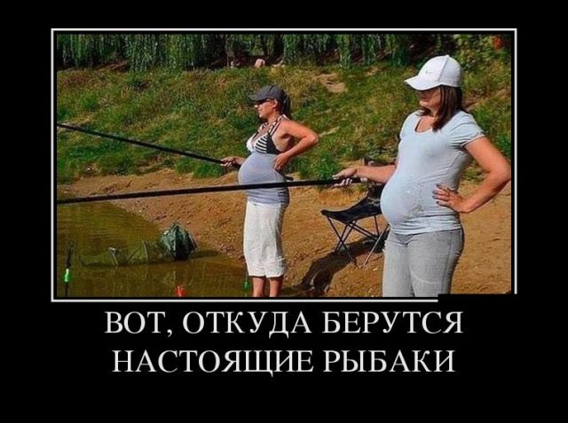 Подборка забавных и смешных демотиваторов со смыслом (11 фото)
