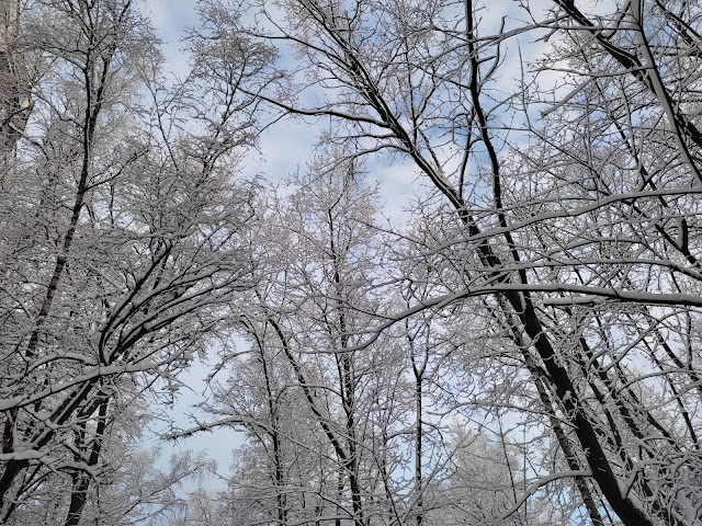 после снегопада