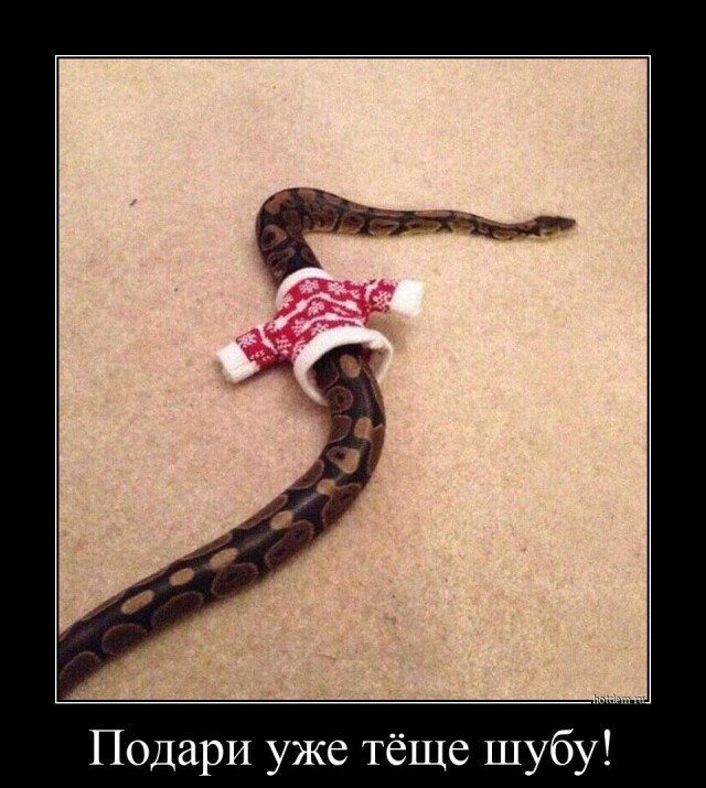 Традиционная коллекция прикольных демотиваторов на любой вкус! Традиционная коллекция прикольных демотиваторов на любой вкус!