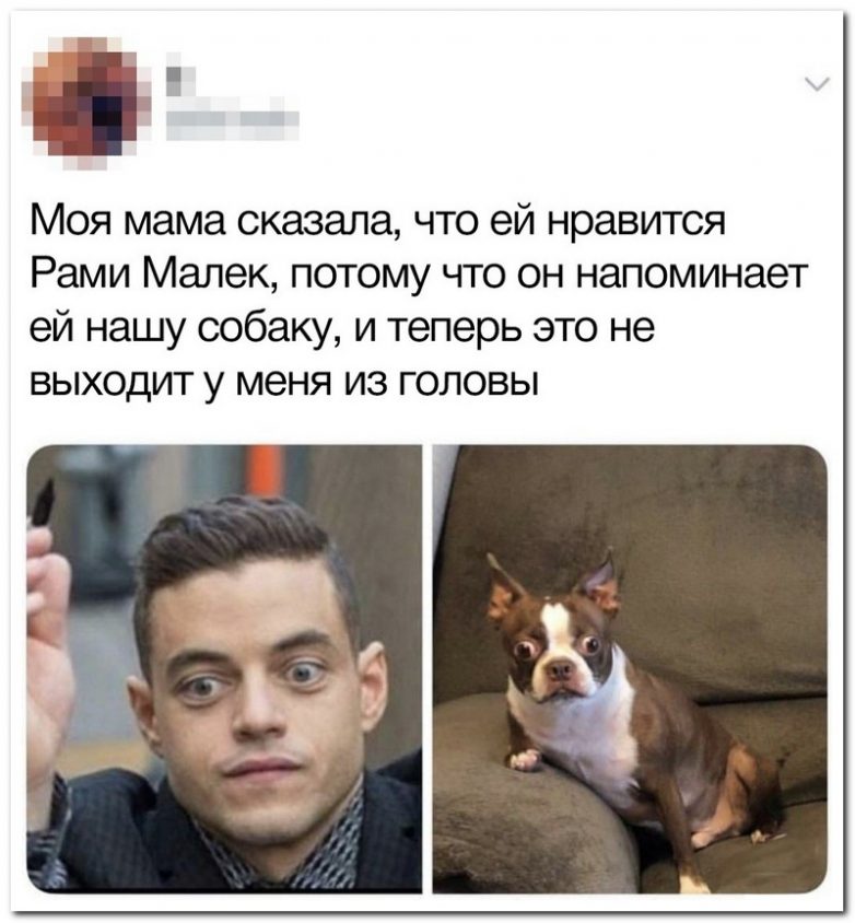 100% ржака, от которой будет болеть живот. Классно! смешные картинки