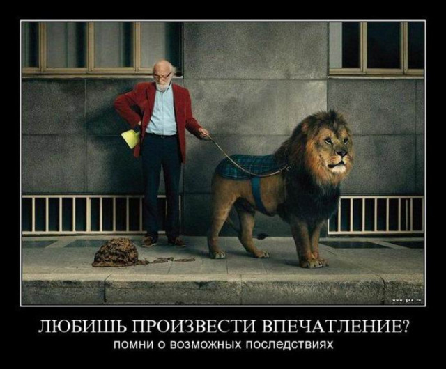 Пятничные демотиваторы: «Где хозяин берёзы?» 