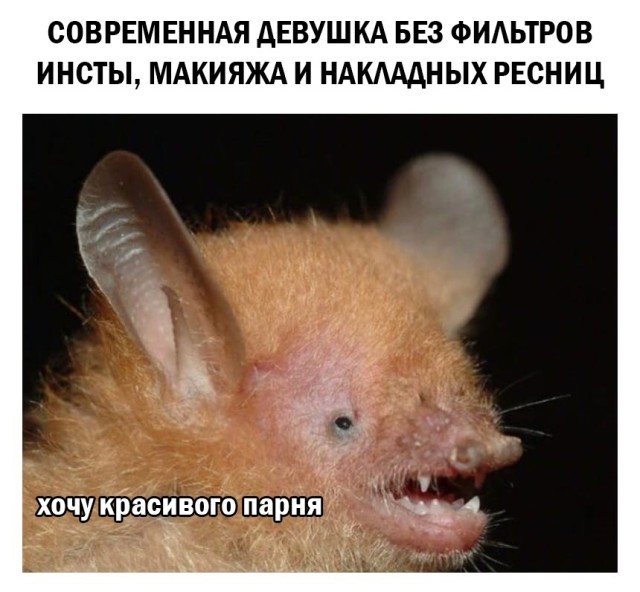 Подборка прикольных картинок Подборка прикольных картинок приколы,смешные картинки,юмор