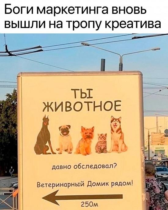 Смешные до слез лучшие картинки 