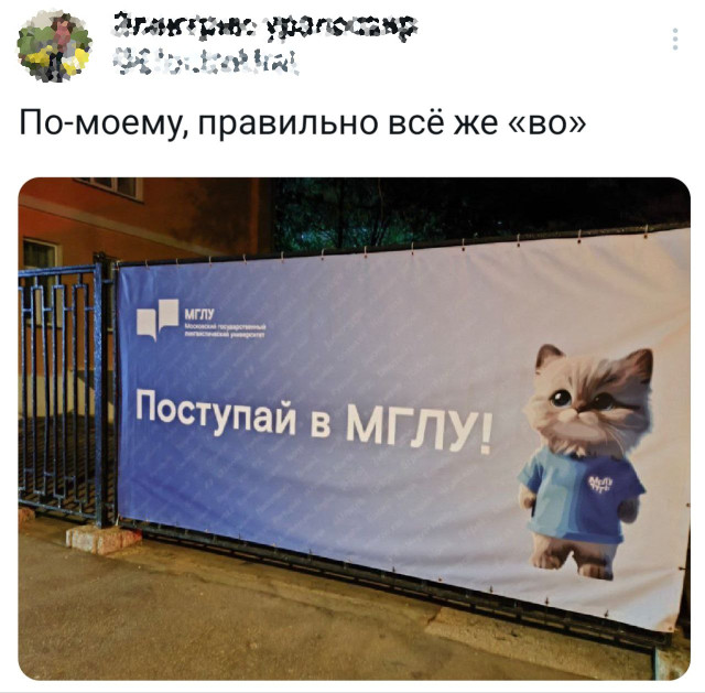 Прикольные комментарии: «У меня который год есть идея…» 