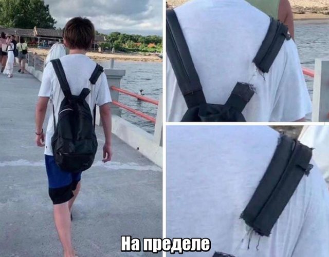 Весёлые моменты дня