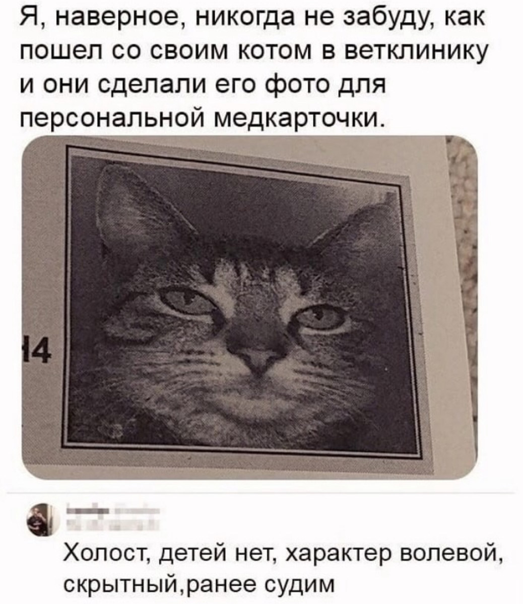 Звонок будильника означает, что лучшая часть суток уже закончилась... Звонок будильника означает, что лучшая часть суток уже закончилась...