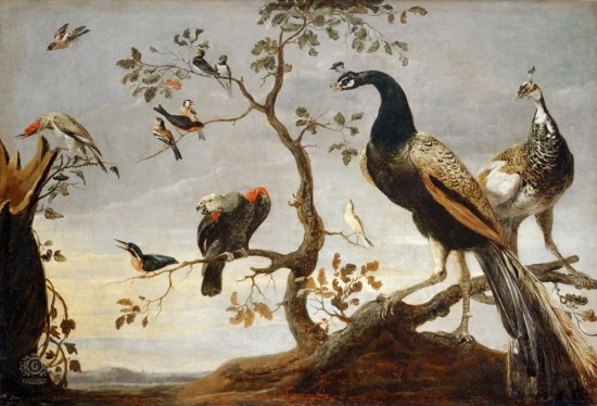 �������� ����� �������� (Frans Snyders) ������� � 06