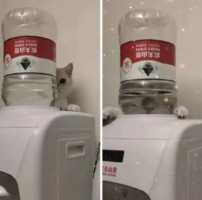 Bigpicture ru без названия 2022 06 24t220315.304