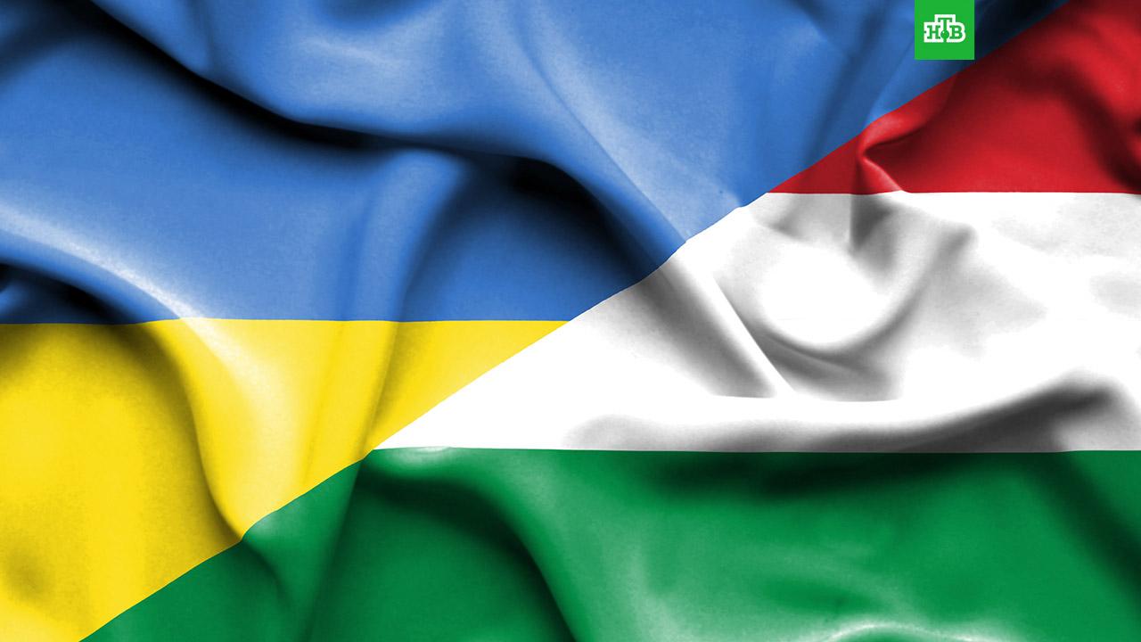 На Украине заподозрили Венгрию в желании присоединить Закарпатье