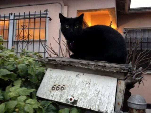 Весёлые картинки для всех: «Диалог между двумя гениями» 