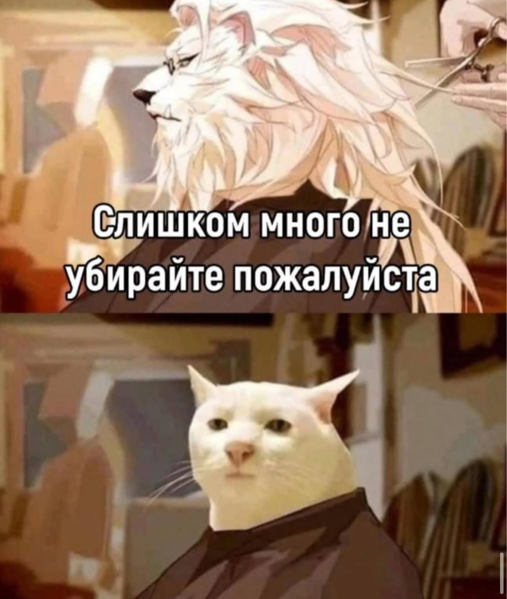 Звонок будильника означает, что лучшая часть суток уже закончилась... Звонок будильника означает, что лучшая часть суток уже закончилась...