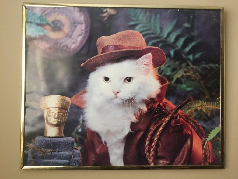 17 случаев, когда люди обнаружили на барахолках крайне забавные и интересные вещи 