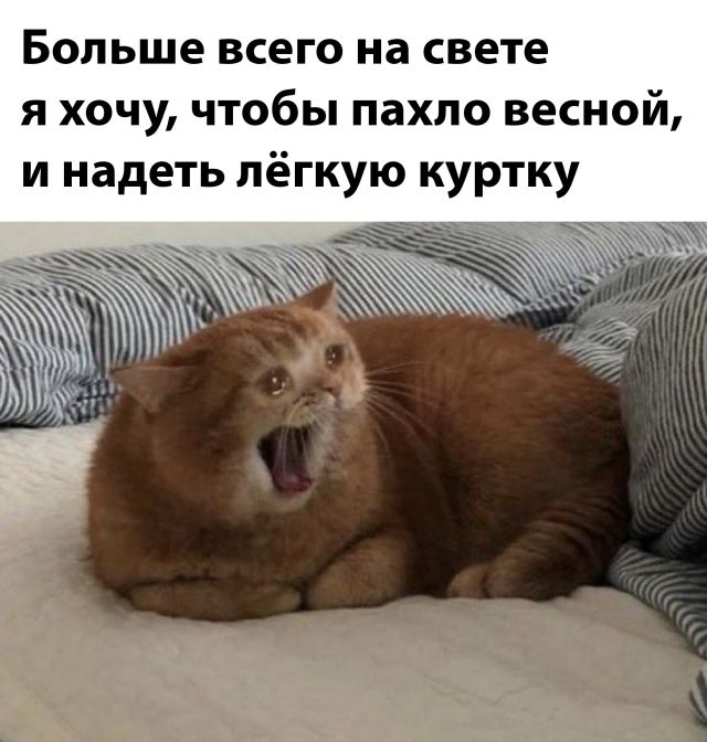 Подборка прикольных картинок  позитив,смешные картинки,юмор