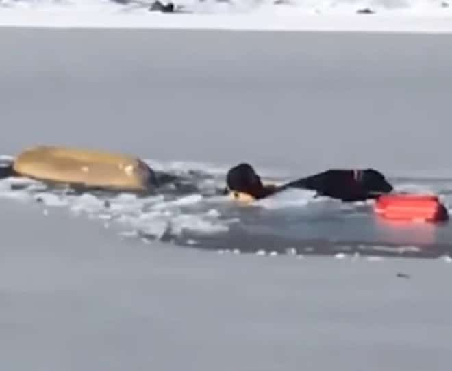 Спасатель в воде