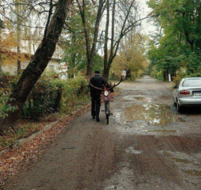 Отличные примеры народной смекалки и изобретательности в жанре: «Я у мамы инженер» и «Голь на выдумки хитра».