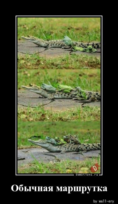 Пятничные демотиваторы: «Где хозяин берёзы?» 