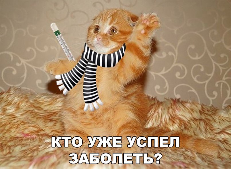 Веселые истории 