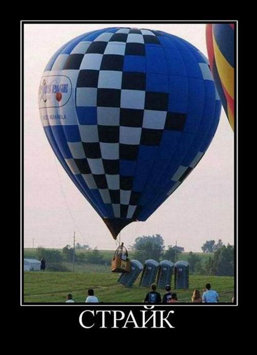 Пятничные демотиваторы: «Где хозяин берёзы?» 