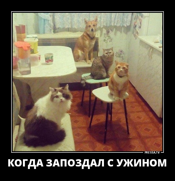 Корреспондент опрашивает прохожих.. анекдоты,веселье,демотиваторы,приколы,смех,юмор