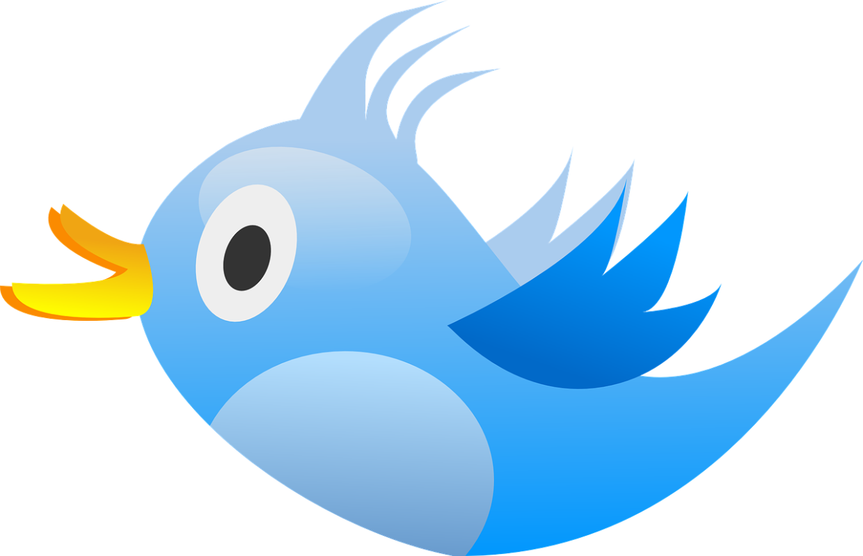 Роскомнадзор замедлил скорость Twitter в связи с отказом этой соцсети выполнить законные требования российских властей