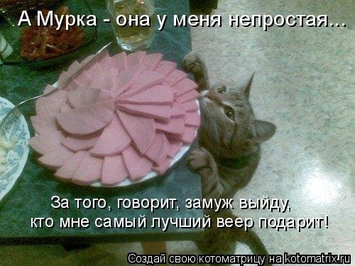 Новая котоматрица 