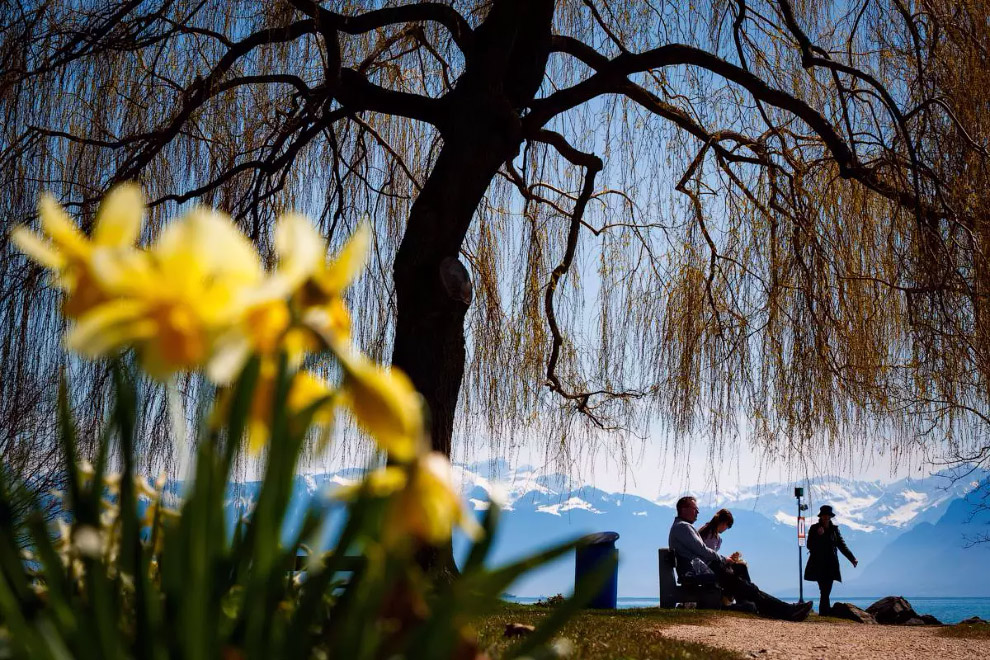 Пришла весна на берег Женевского озера в Швейцарии