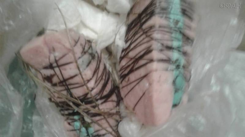 Колбасу с крысиным ядом раскидали на детской площадке в Мордовии