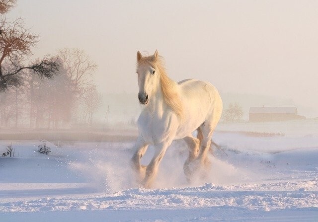 Быстрее ветра