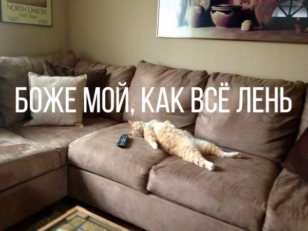JhbfKFkpsiI