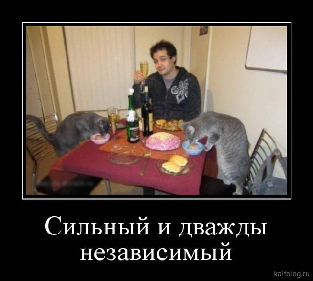 Демотиваторы дня: «Красивое» Демотиваторы дня: «Красивое»