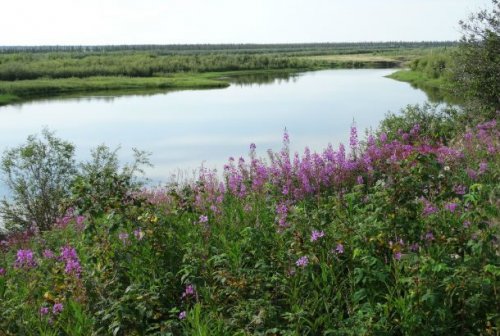 ТОП-25: Самые длинные реки в мире география, реки, топ25