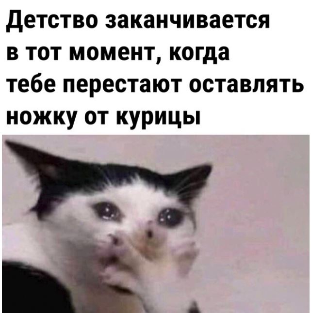 Юмористические картинки для настроения 