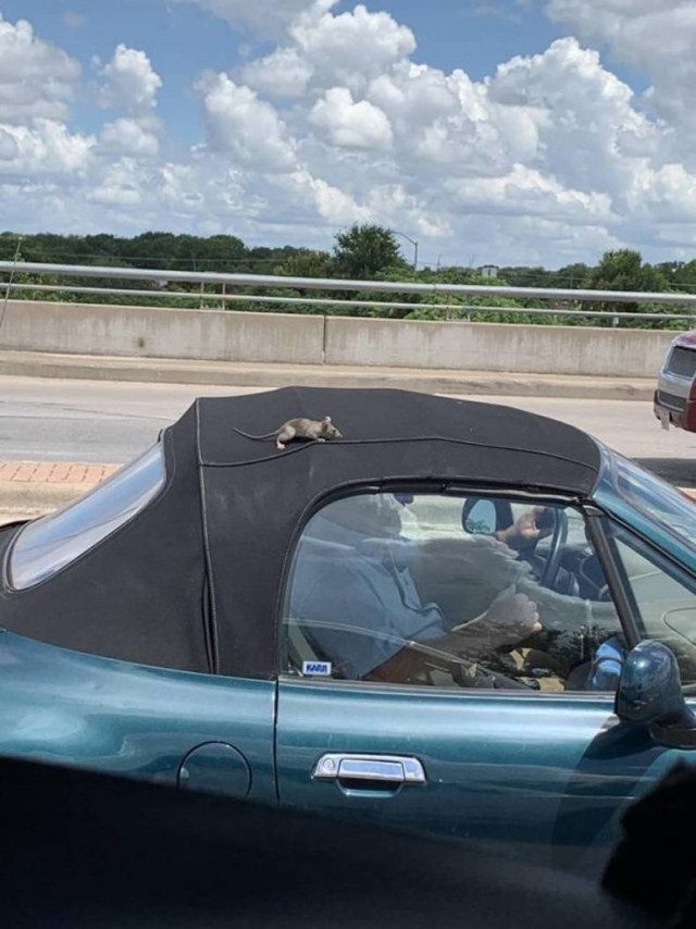 Ржачные картинки Ржачные картинки