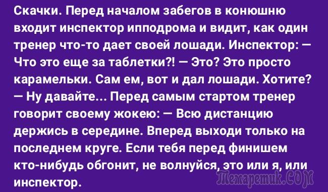 Мужик в аптеке: дайте три с половиной таблетки виагры! нравится, включить, плоская, половиной, мужик, ленивые, Разговор, таблетки, Дайте, аптеке, другоеМужик, придумает, наносекунду, оставимУже, через, почему, давай, очень, звали, бывшую