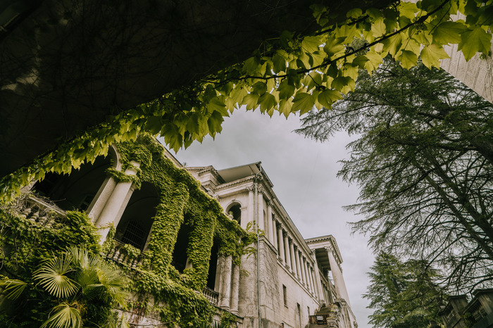 Заброшенный санаторий в Сочи, или как оказаться в Джуманджи Заброшенный санаторий в Сочи, или как оказаться в Джуманджи Россия,туризм